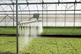 Greenhouse covering