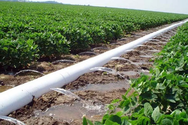 Irrigation pipes